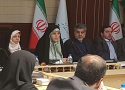 جلسه کارگروه تخصصی امور بانوان استانداری تهران